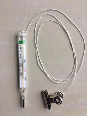 FN-W angepasstes klinisches Quecksilberfreies Digitalthermometer in Gelb/Blau