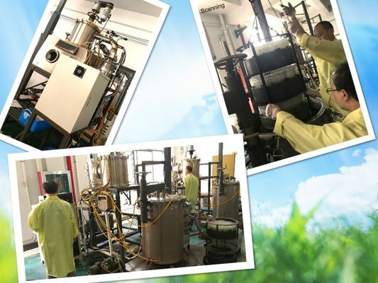 Speicherfunktion M.L. Kein Quecksilber Galliumglasrohr Humanthermometer für das Heimkrankenhaus